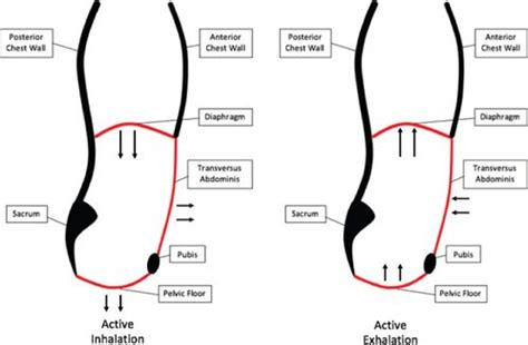 Follow Along Strong Feet Stability High Pic Telegraph