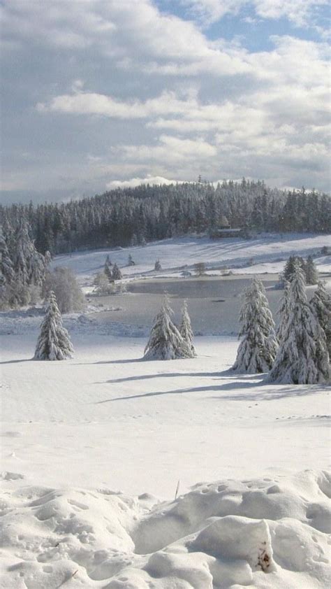 Download Wallpaper 720x1280 Field Winter Snow Fir Trees Cover