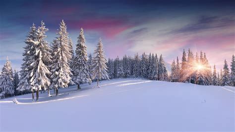 Panorama Of The Winter Sunrise In Mountains Windows 10 Spotlight Images