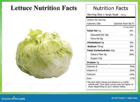 Lettuce Nutrition Facts Stock Vector Image 54775420