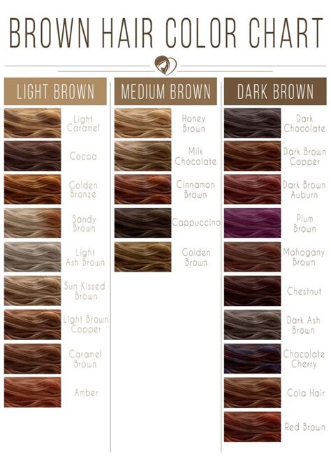 Brown Hair Color Chart Highlights