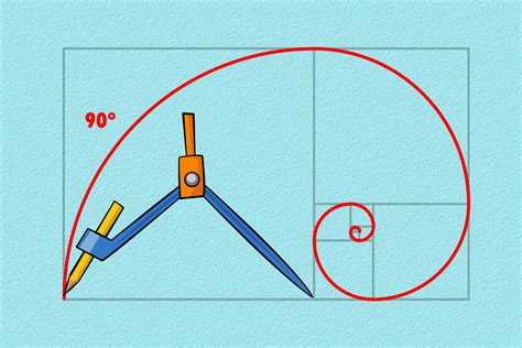 How To Draw Golden Ratio Follows Describes Proportions Fibonacci