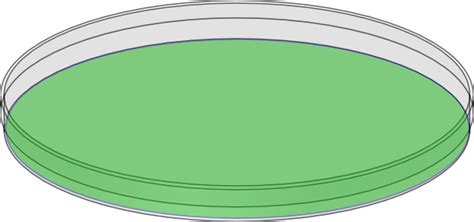 47+ pedri gonzalez fifa 21 png. Green Petri Dish Clip Art at Clker.com - vector clip art ...