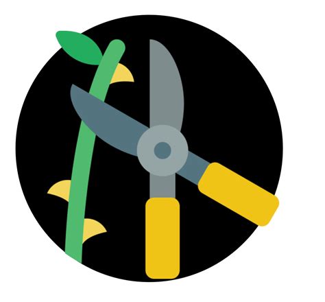 Entretien de jardin | 1PACT VERDURE
