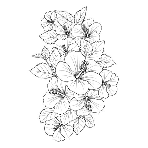 Extensive Compilation Of Flower Drawing Images Stunning And High