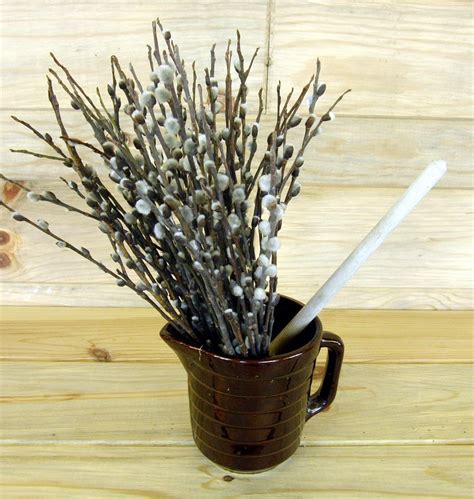 Woodland Natural Pussy Willow Bunches Spring By Theflowerpatch