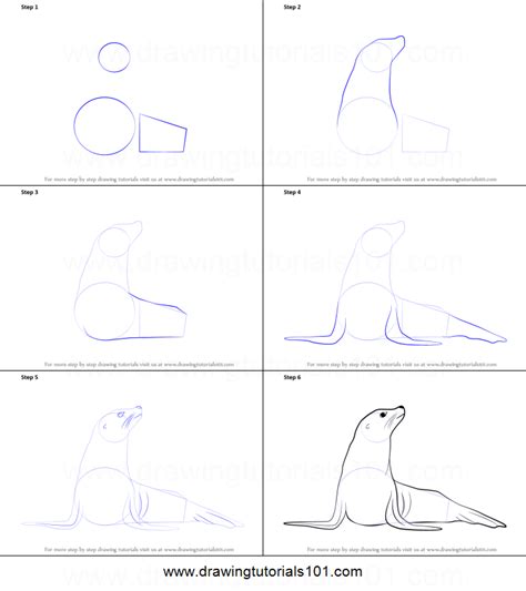 1280x720 how to draw wolf coloring pages for kids drawing animals learn. How to Draw a Seal printable step by step drawing sheet : DrawingTutorials101.com