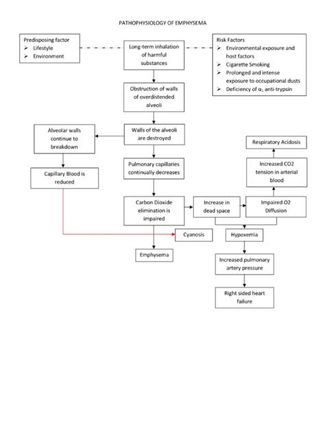 Pathophysiology Of Emphysema Pdf