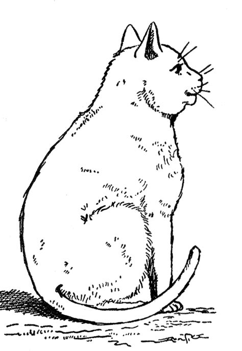 Cats are the most popular pets in the world after the fishes, but before the dogs. Free Printable Cat Coloring Pages For Kids