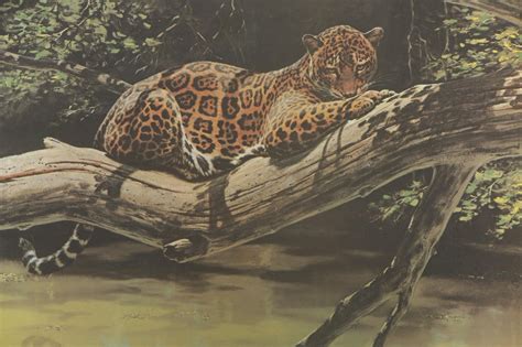 offset lithograph after guy coheleach jungle jaguar ebth
