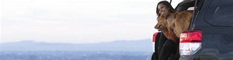 Car Insurance | Get a Free Auto Quote |Travelers Insurance