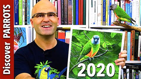 Parrot Calendars 2020 Discover Parrots Youtube