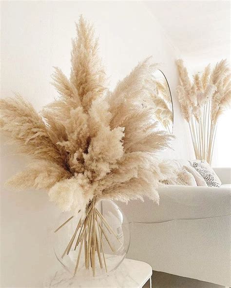 Pampas Grass Decor Ideas Perfect For Any Interior Style In 2021 Grass