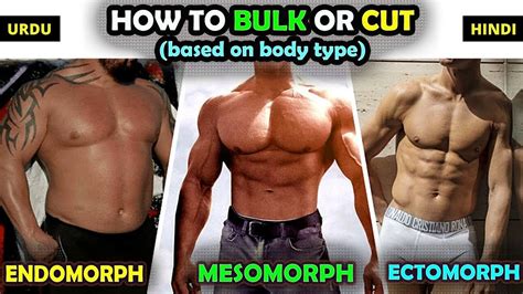 How To Bulk Or Cut Based On Body Type Ectomorph Mesomorph Endomorph