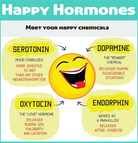 happy hormones and how to activate them femfit body lab