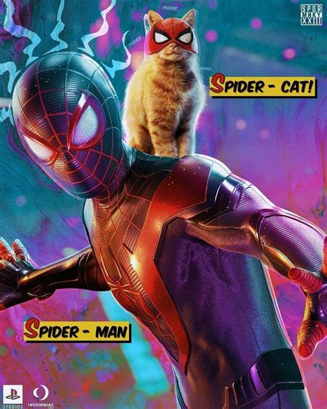 Spider Man Miles Morales And Spiderman The Cat Spider Cat By