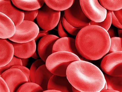 Conquer Low Platelets Unbiased Review