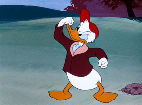 Anger Management Advice From Donald Duck Oh My Disney Donald Duck