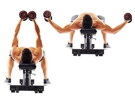 Find tips for weight loss, meal timing, carbohydrate counting, portions, and more. Best at home workout dvds, flat dumbbell fly from, sting