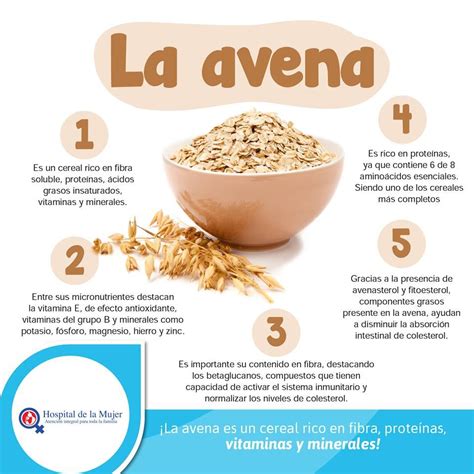 Beneficios De La Avena Beneficios De Alimentos Beneficios De La