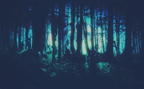 Dark Forest Wallpaper Hd Wallpaper Wallpaper Flare