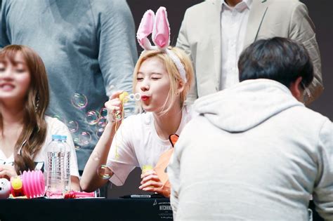 [pann Sana] Twice S Bunny Sana Netizen Nation Onehallyu