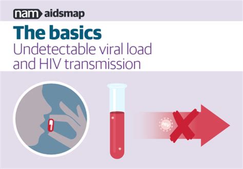 Undetectable Viral Load And Hiv Transmission Aidsmap