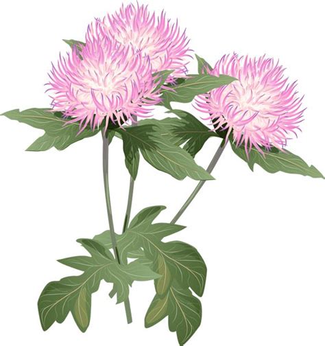 Pontiacs Rebellion An Overview Flower Clipart Flower Painting