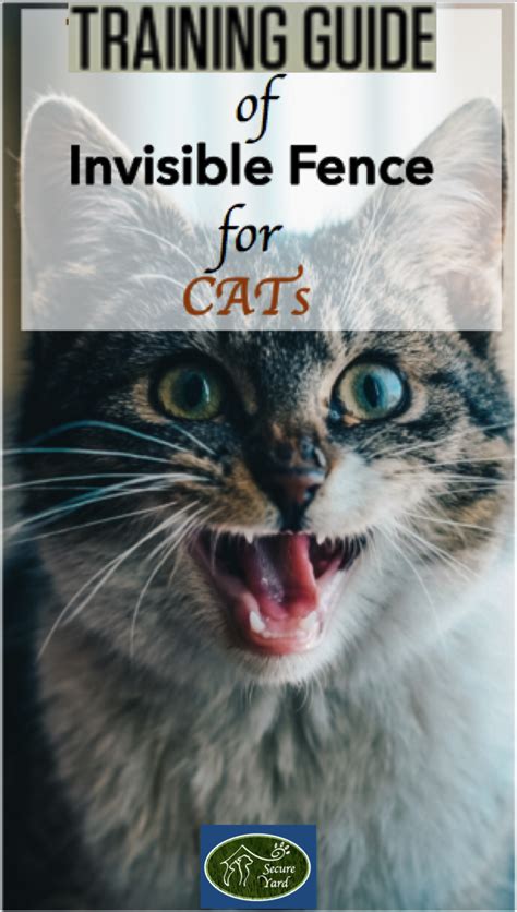 Prices paid and comments from costhelper's team of professional journalists and community of users. Training Guide of Invisible Fence for cats (With images ...
