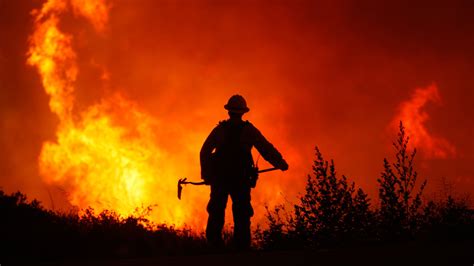 Información, novedades y última hora sobre incendios forestales. Incendios forestales: Cómo afectan y qué podemos hacer ...