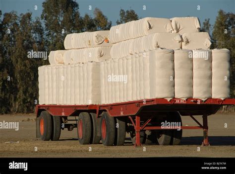 Cotton Picker Hi Res Stock Photography And Images Alamy