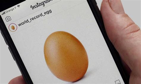 World Record Egg Instagram More From Abc