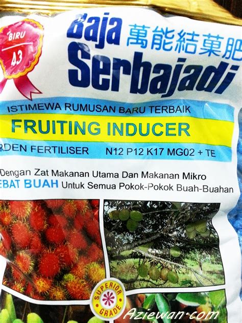 Pemriksaan seniasa dilakukan pada setiap pokok untuk memastikan kesemuanya menerima titisan larutan baja. Baja Pokok Buah-Buahan Terbaik