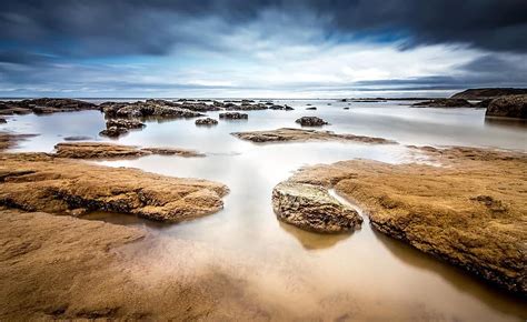 Tree Sea Grass Nature Ocean Summer Landscape Sun Pikist