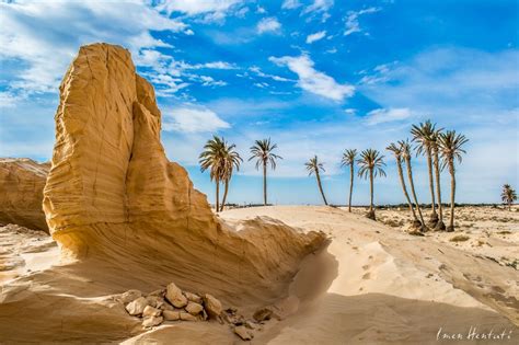 Tozeur Tunisia Libya Mediterranean Sea Heaven On Earth Photos Du