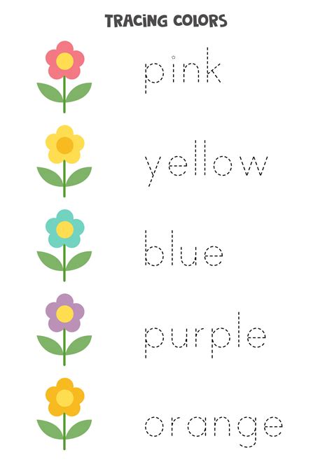 Tracing Words Of Basic Colors Preschool Worksheet 7766508 Vector Art