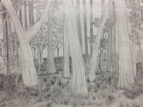 Nature Background Drawing At Explore Collection Of