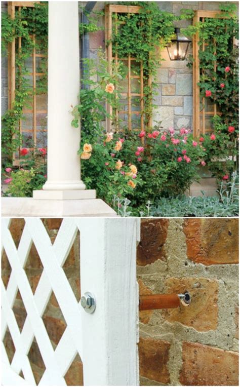 If you are using trellis panels, pound the fence posts into the ground at intervals equal to the length of each panel. 20 Easy DIY Trellis Ideas To Add Charm and Functionality To Your Garden