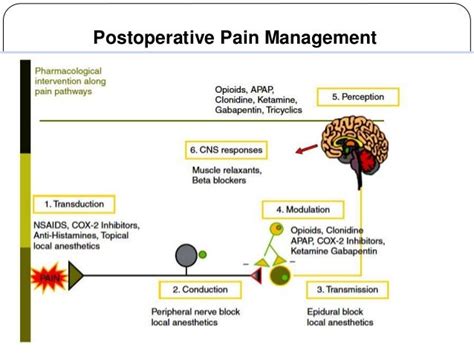 Anti Inflammatory In Postoperative Pain Isapm 2015 Dr S Gaus
