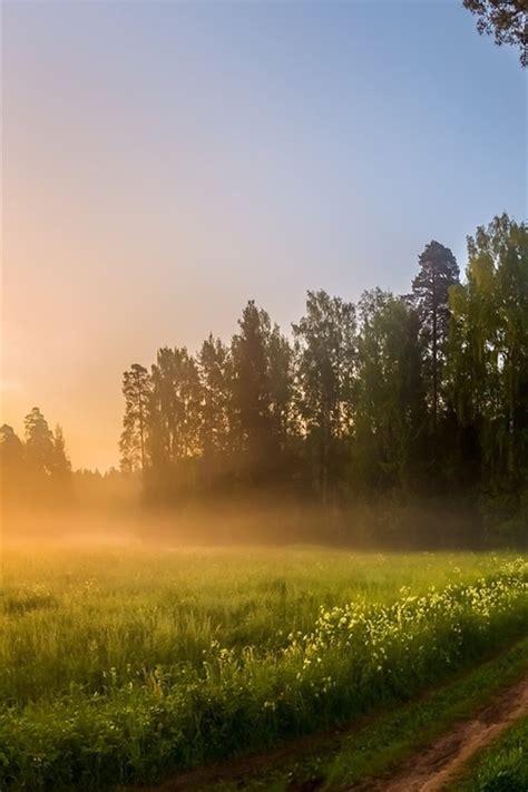 Wallpaper Morning Fields Trees Path Fog Sunrise 1920x1080 Full Hd