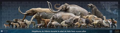 Edad De Hielo Biodiversidad Mexicana