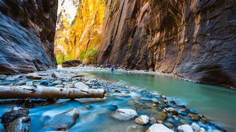 Camping Reservations In Zion National Park — 5 Campgrounds To Camp