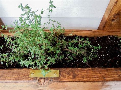 Diy Vertical Herb Garden And Planter 2x4 Challenge