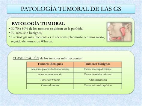 Ppt Patología De Las Glándulas Salivales Hecha Fácil Powerpoint