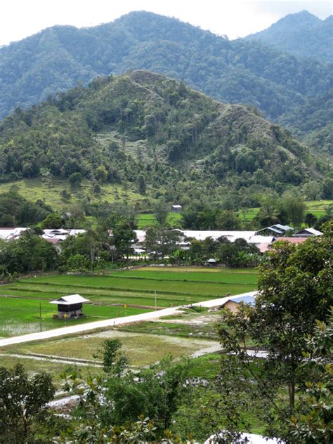With its beguiling tribal cultures and jungled highlands, sarawak would seem to epitomize what borneo is all about. Bario, 'Land of a hundred handshakes' | Visit Sarawak