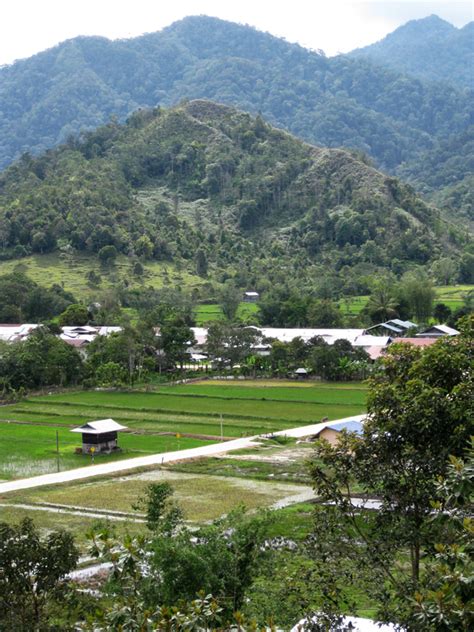 It is because sarawak is practicing the legal system of land development differently from other states. Bario, 'Land of a hundred handshakes' | Visit Sarawak
