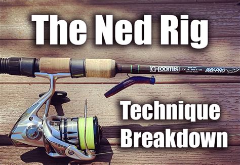 Technique Breakdown The Ned Rig American Legacy Fishing