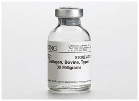 Corning Collagen I Bovine Mg Collagen I Bovine Products Fisher