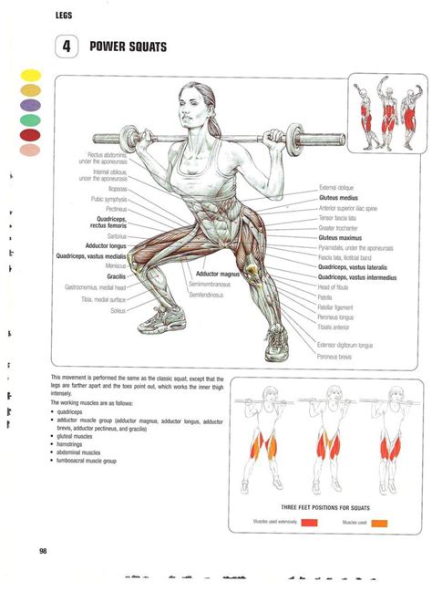 Frederic Delavier Strength Training Anatomy Strength Training Strength