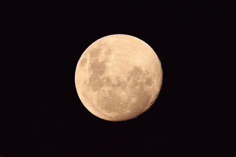 The first of the two comes on march 9, while the other will appear shortly after, on april 7. Final full moon of 2020 to appear in night sky this week - silive.com